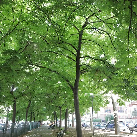 Apartament G & B House